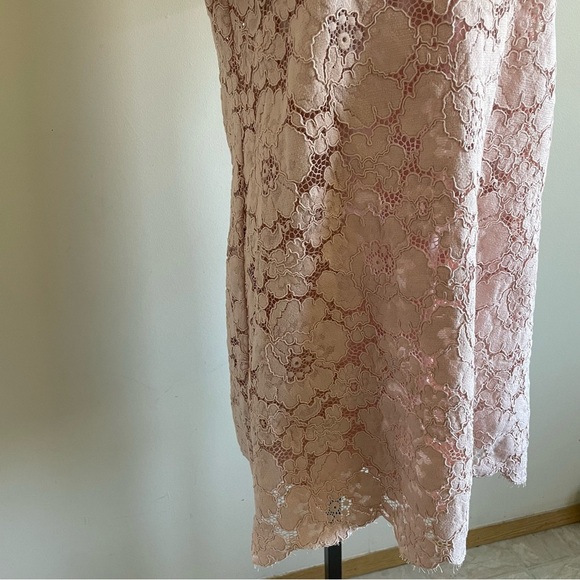 BCBGMaxAzria Diane Lace Mini Dress Pastel Pink Oversized With Slip Size Medium - Picture 10 of 16